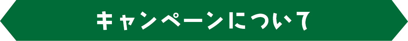 キャンペーンについて